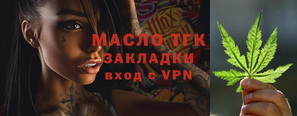 стаф Богданович