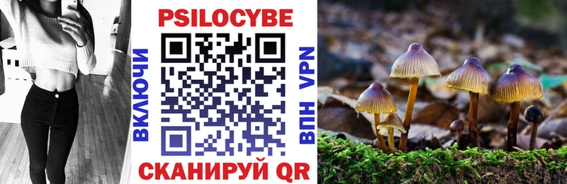 где купить наркоту  площадка клад  Псилоцибиновые грибы Psilocybe  Белинский 